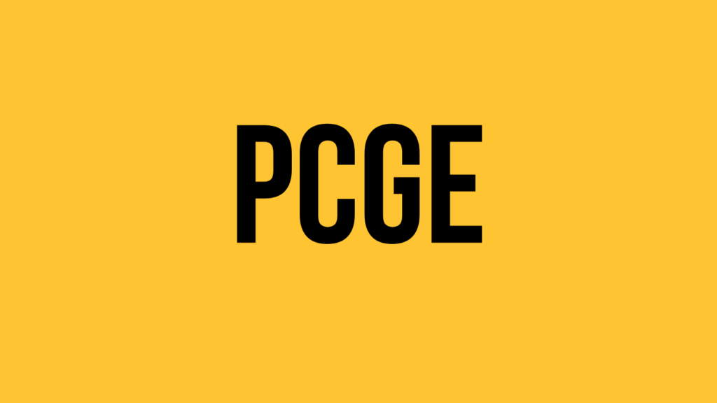 Plan Contable General Empresarial PCGE 2023 (Descargar excel)